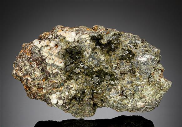 CC13317 specimen image