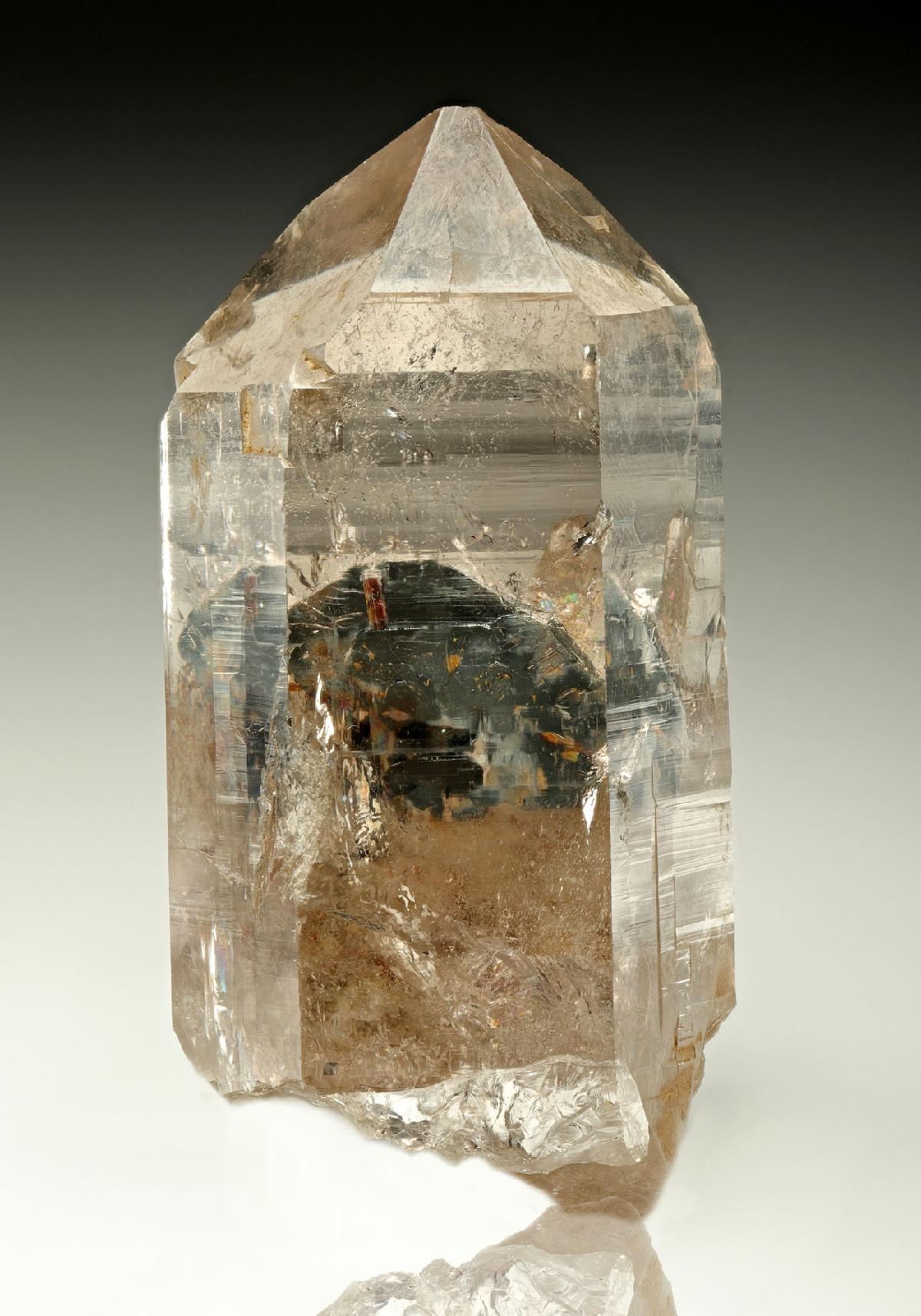 CC13318 specimen image