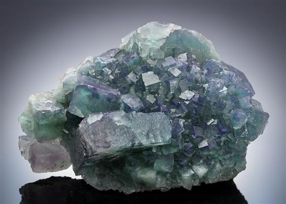 CC13345 specimen image