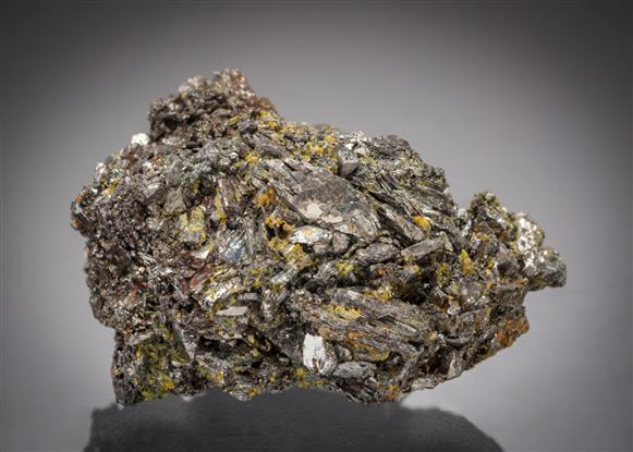 CC13358 specimen image