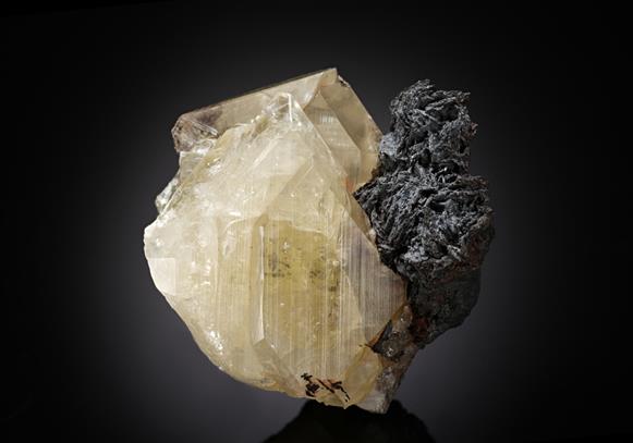 CC13387 specimen image