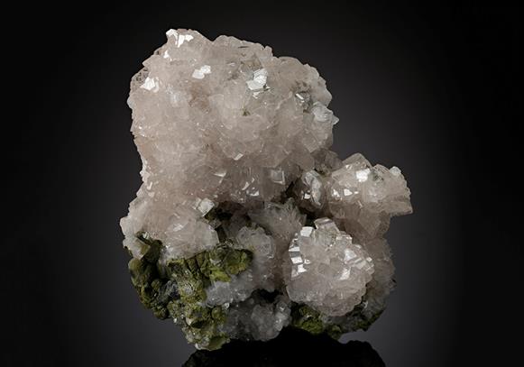 CC13388 specimen image