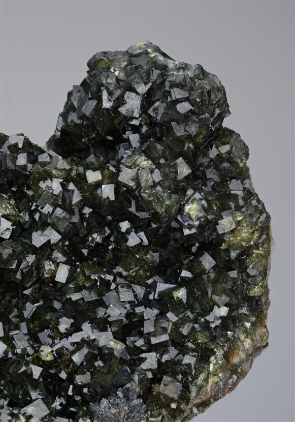 CC13400 specimen image