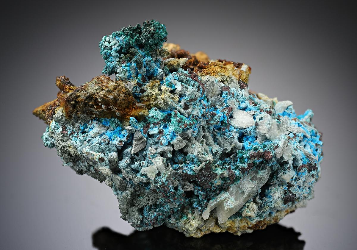 CC13415 specimen image