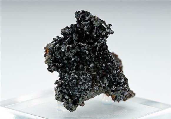 CC13418 specimen image