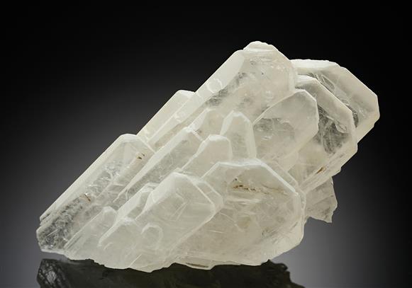 CC13460 specimen image