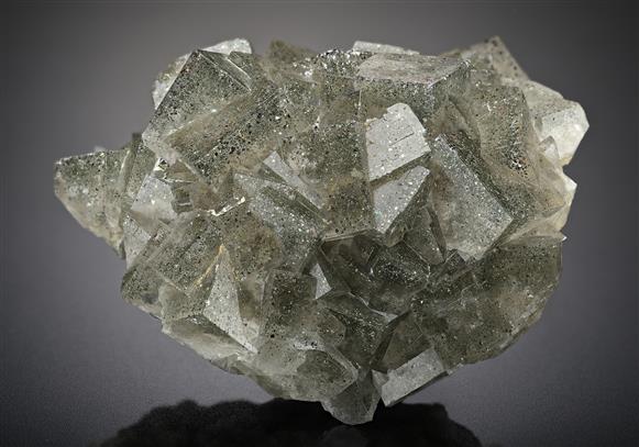 CC13468 specimen image