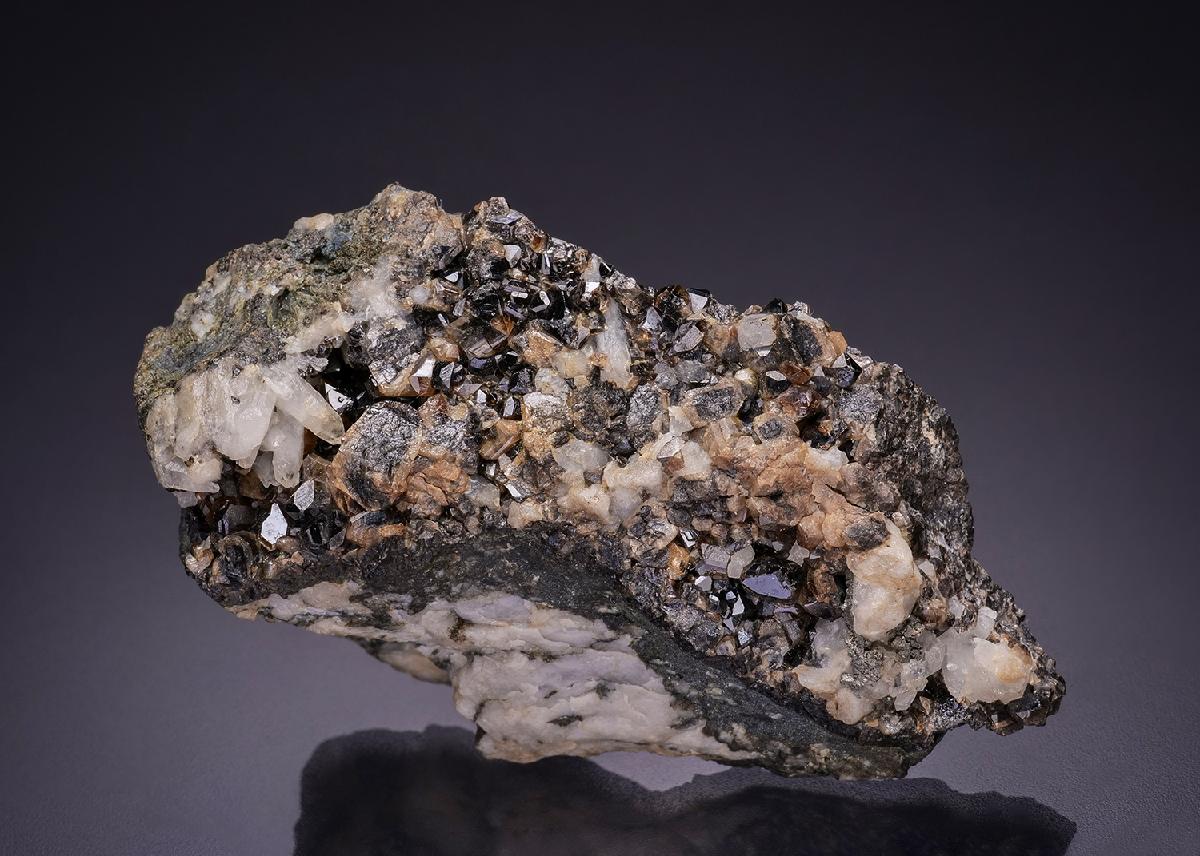 CC13510 specimen image
