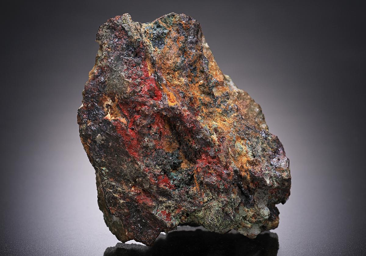 CC13516 specimen image