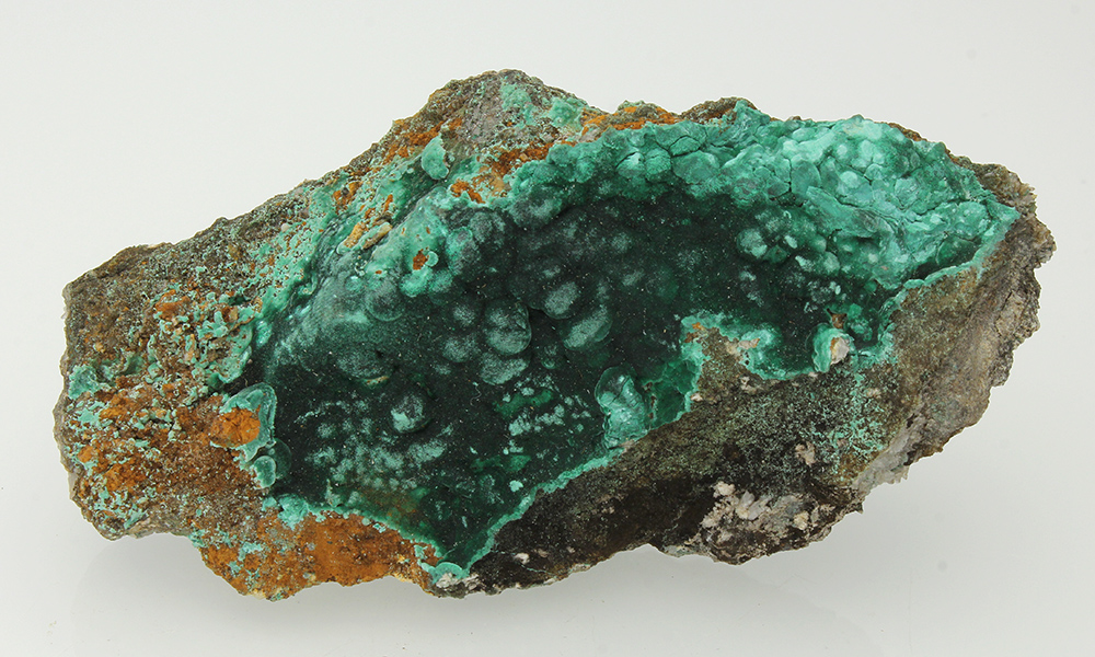 CC13519 specimen image