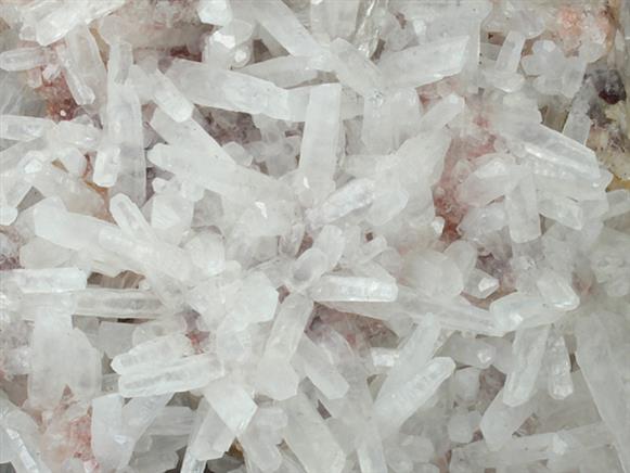 CC1352 specimen image
