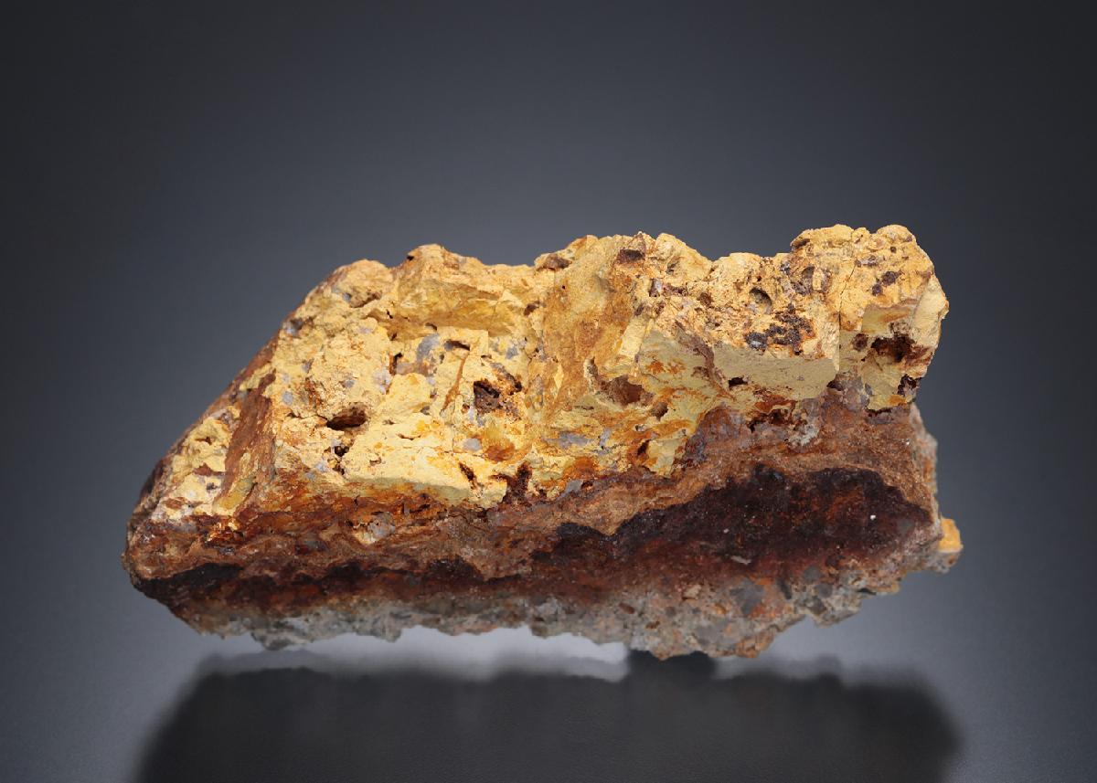CC13595 specimen image