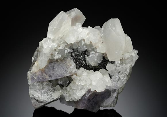 CC13623 specimen image