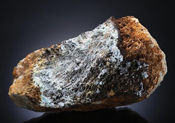 CC13685 specimen image