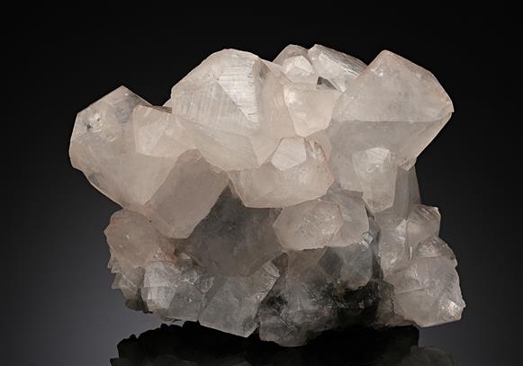 CC13713 specimen image