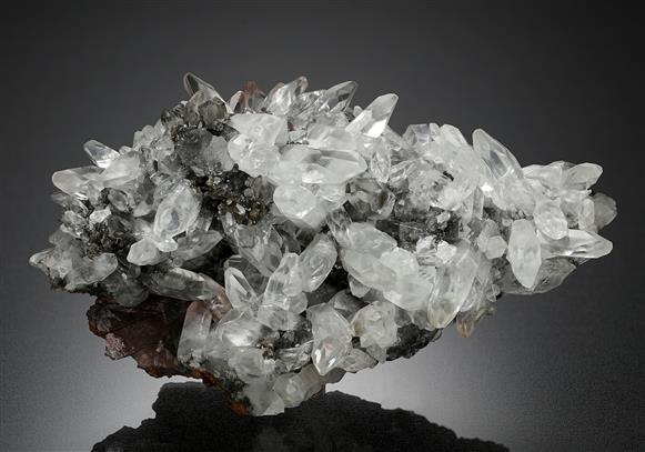 CC13738 specimen image