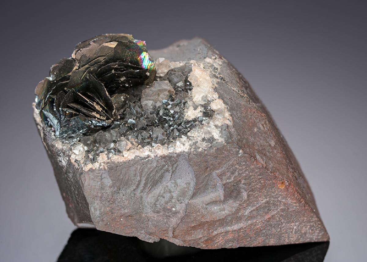 CC13774 specimen image
