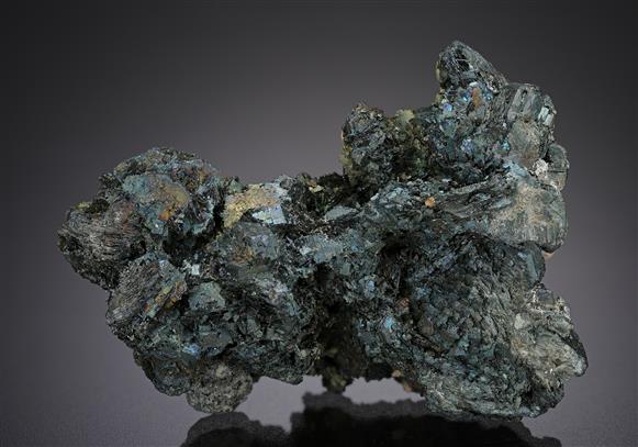 CC13824 specimen image