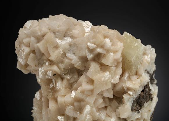 CC13830 specimen image