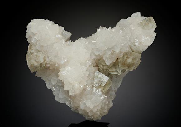 CC13906 specimen image