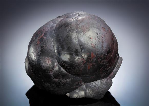 CC13934 specimen image