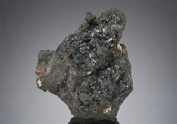 CC13942 specimen image