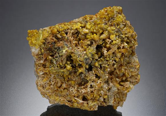 CC13958 specimen image