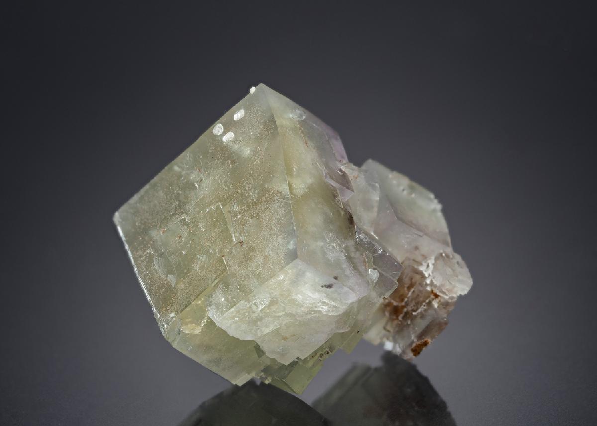 CC13988 specimen image