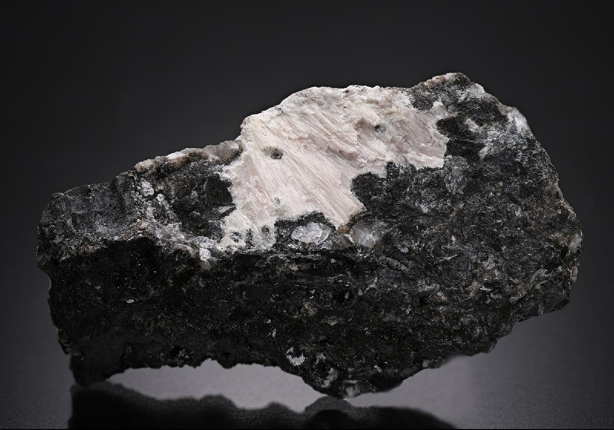 CC14047 specimen image