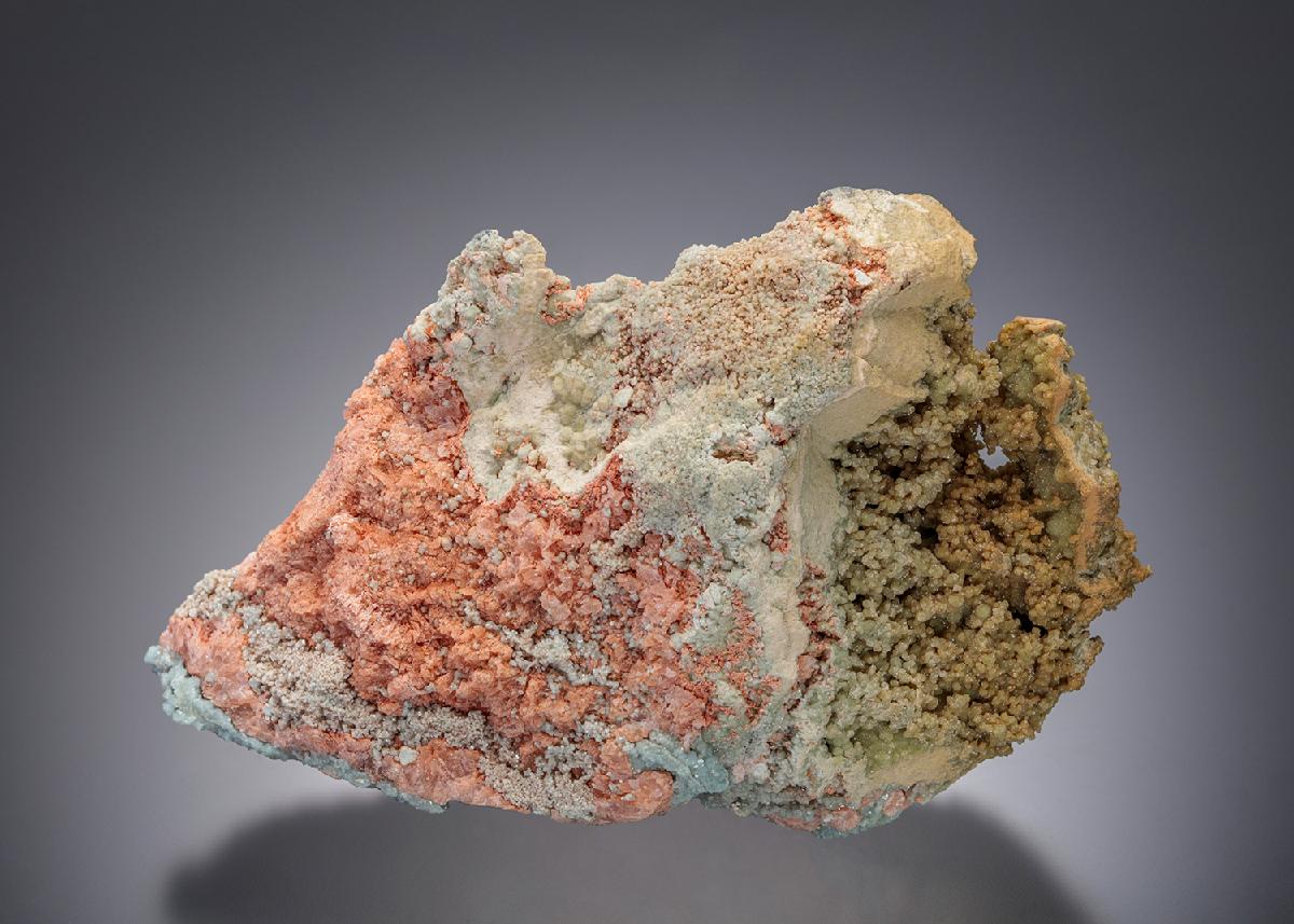 CC14072 specimen image