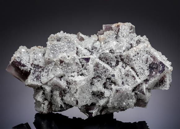 CC14077 specimen image
