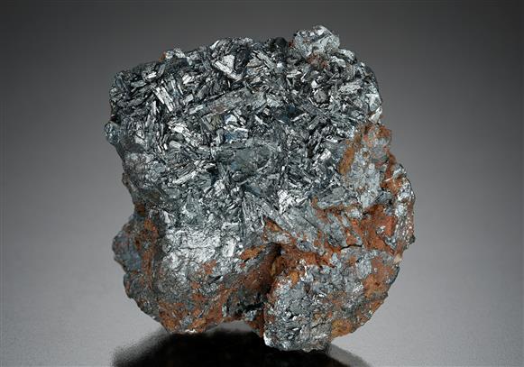 CC14118 specimen image