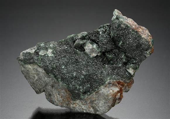 CC14122 specimen image