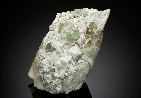 CC14131 specimen image