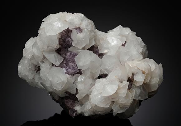 CC14132 specimen image