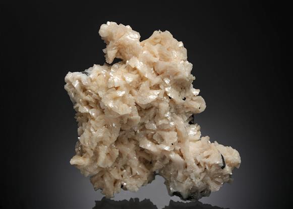 CC14144 specimen image