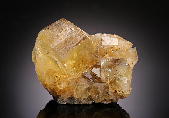 CC14183 specimen image
