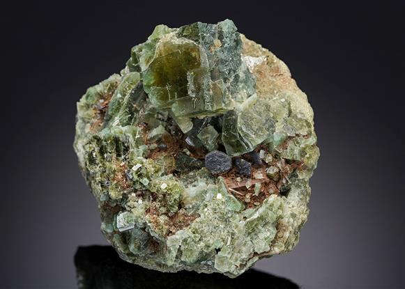 CC14198 specimen image