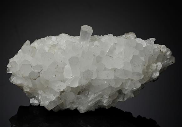CC14483 specimen image