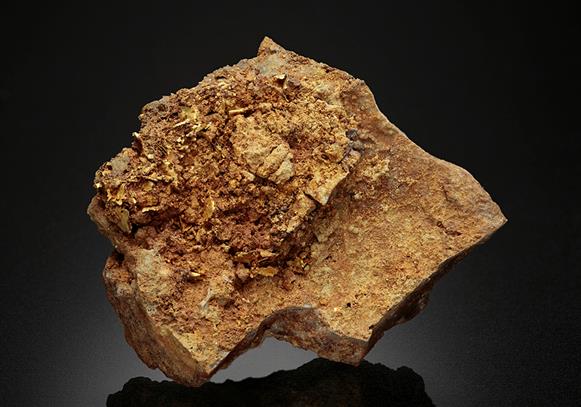 CC14931 specimen image