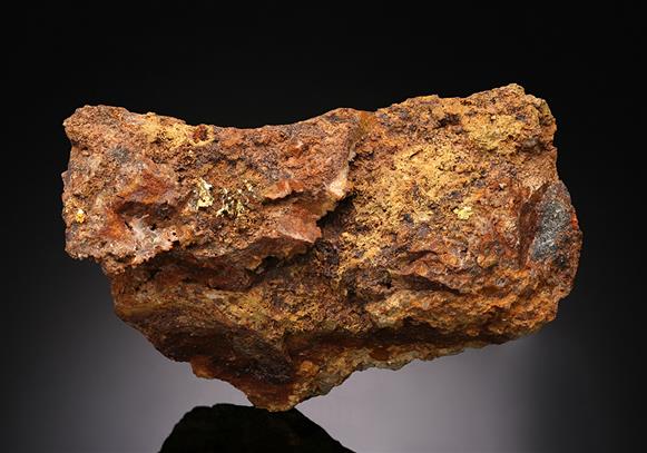 CC14936 specimen image