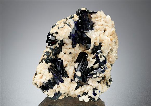 CC15008 specimen image