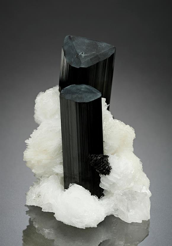 CC15029 specimen image