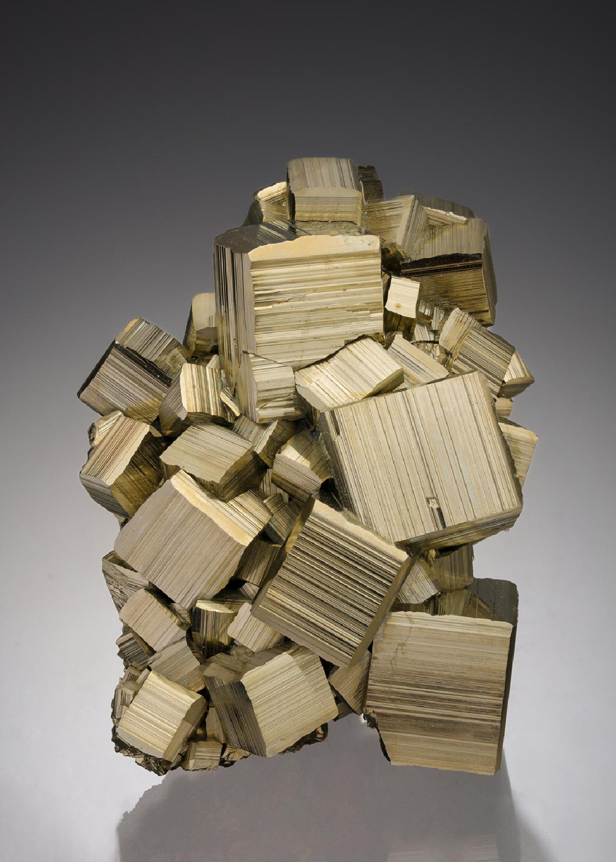 CC15076 specimen image