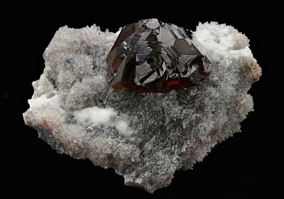 CC15145 specimen image