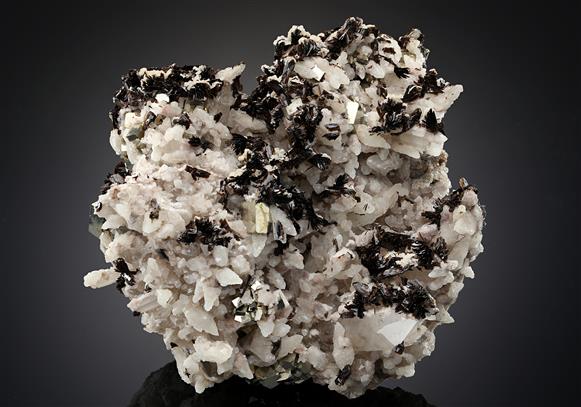 CC15201 specimen image
