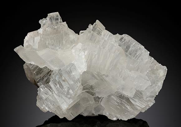 CC15223 specimen image