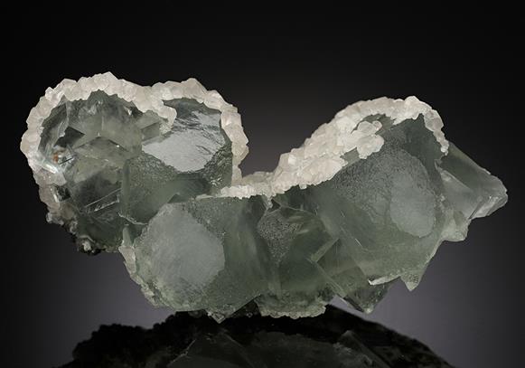 CC15250 specimen image