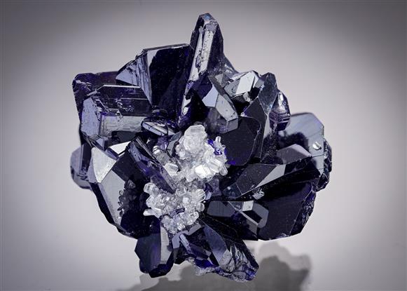 CC15303 specimen image