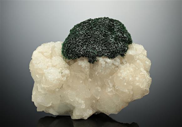 CC15402 specimen image